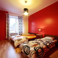 Viru Backpackers Hostel комната для гостей фото 5