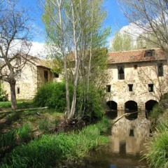 Отель Casa Rural Viejo Molino Cela Испания, Каррисо - отзывы, цены и фото номеров - забронировать отель Casa Rural Viejo Molino Cela онлайн фото 3