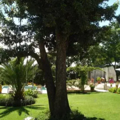 Bo Hotel De Encanto & Spa Ла-Мерсед фото 5