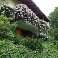 Отель Il Giardino Dell'Artemisia Грессан спортивное сооружение