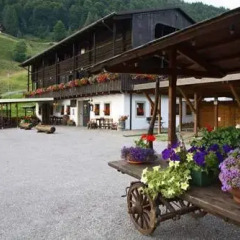 Отель Albergo Riglarhaus Италия, Саурис - отзывы, цены и фото номеров - забронировать отель Albergo Riglarhaus онлайн фото 3