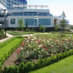Апартаменты Olga Apartments