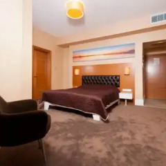 City Hotel Plovdiv 3* Номер Делюкс с различными типами кроватей фото 3