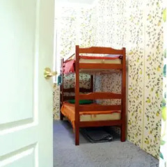 Open Hostel Citrus Стандартный номер разные типы кроватей (общая ванная комната) фото 13