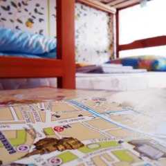 Open Hostel Citrus Стандартный номер разные типы кроватей (общая ванная комната) фото 3