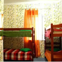 Open Hostel Citrus Стандартный номер разные типы кроватей (общая ванная комната) фото 14
