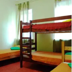 Open Hostel Citrus Стандартный номер разные типы кроватей (общая ванная комната) фото 11