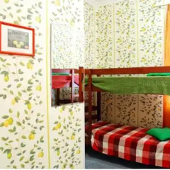 Open Hostel Citrus Стандартный номер разные типы кроватей (общая ванная комната) фото 12