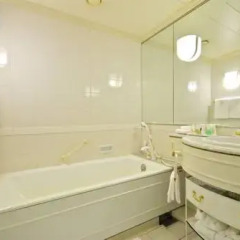 Dai-ichi Hotel Tokyo 4* Стандартный номер с различными типами кроватей фото 10
