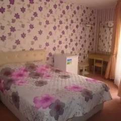Gol Park Sidelya Стандартный номер с различными типами кроватей фото 6