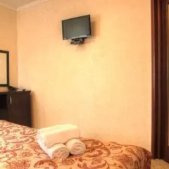 Vlada Hotel 3* Стандартный номер с различными типами кроватей фото 5