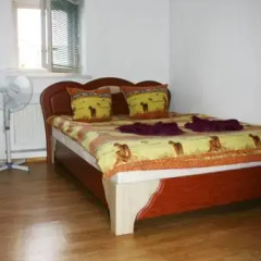 Hostel Astoria Стандартный номер разные типы кроватей
