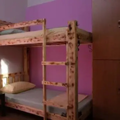Hostel and Apartments Skadarlija Sunrise Кровать в общем номере с двухъярусной кроватью фото 2