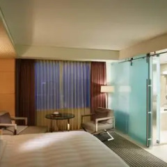 Lotte Hotel Seoul 5* Номер Делюкс фото 42