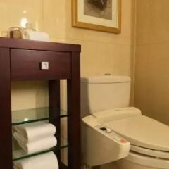 Lotte Hotel Seoul 5* Номер Делюкс фото 29