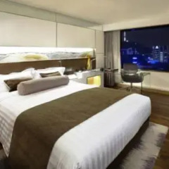 Lotte Hotel Seoul 5* Номер Делюкс фото 5