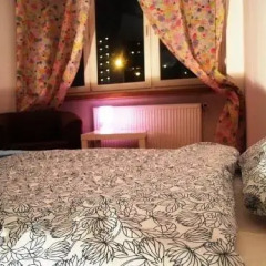 Kogut czy Kura Hostel Стандартный номер с разными типами кроватей фото 2