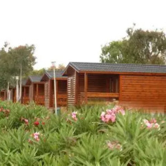 Отель Devesa Gardens Camping & Resort Бунгало с различными типами кроватей
