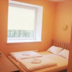 Гостевой дом Auksine Avis 3* Стандартный номер с двуспальной кроватью фото 9