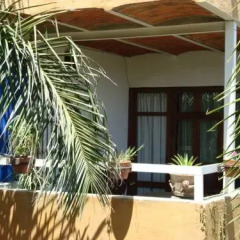 Отель Casa Tlaquepaque 3* Улучшенный номер с различными типами кроватей фото 8