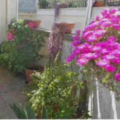 Отель Ambika B&B 4* Апартаменты фото 6