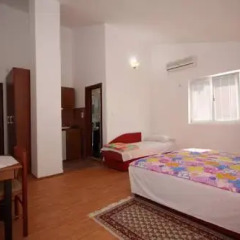 Апартаменты Apartments Raičević Студия с различными типами кроватей фото 26
