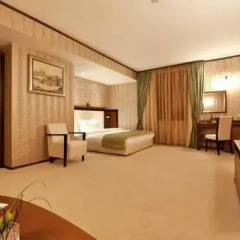 Best Western Plus Bristol Hotel 4* Полулюкс с различными типами кроватей