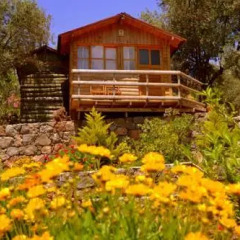 Отель Olive Garden Kabak 2* Бунгало фото 10