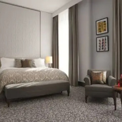 Отель The Ritz Carlton Vienna 5* Номер Делюкс фото 5