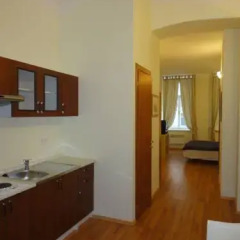Отель Residence Jeronymova 3* Студия с различными типами кроватей