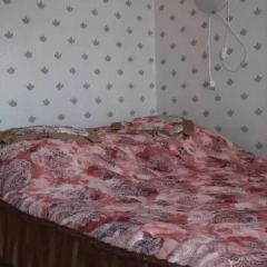 Hotel Msta 3* Стандартный номер с двуспальной кроватью