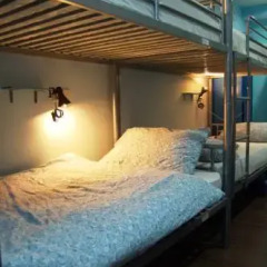Beary Nice Hostel By A Beary Good Hostel Кровать в общем номере