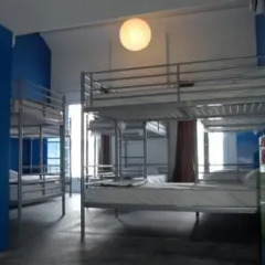 A Beary Good Hostel Кровать в общем номере