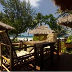 Отель Palm Leaf Resort Koh Tao 3* Бунгало Делюкс с различными типами кроватей фото 15