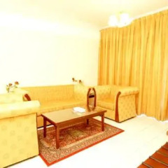 Richmond Hotel Apartments 3* Студия Делюкс с различными типами кроватей фото 3
