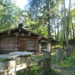 Шале-Отель Таежные Дачи 4* Шале с различными типами кроватей