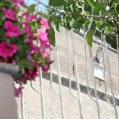 Отель Vaticano84 2* Стандартный номер с различными типами кроватей фото 6