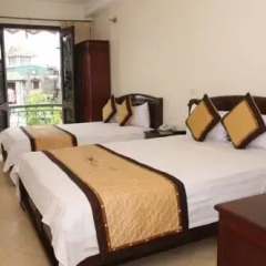 Violet hotel 3* Номер Делюкс с различными типами кроватей