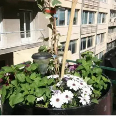 Отель Alyzia Ηotel Стандартный номер с различными типами кроватей фото 7