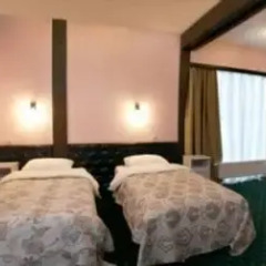 Гостиница Гамильтон 3* Номер Комфорт с различными типами кроватей фото 15