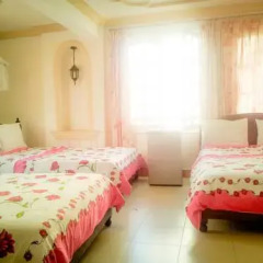Phuong Hanh Ii Hotel Стандартный номер