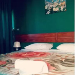 Orient Prince Hotel Стандартный номер с двуспальной кроватью