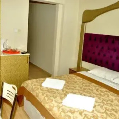 Ottoman Palace Hotel Edirne 3* Стандартный номер с двуспальной кроватью фото 3