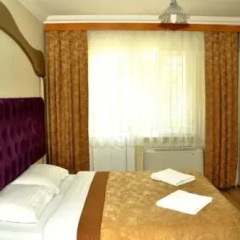 Ottoman Palace Hotel Edirne 3* Стандартный номер с двуспальной кроватью фото 4