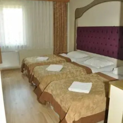 Ottoman Palace Hotel Edirne 3* Стандартный номер с различными типами кроватей фото 15
