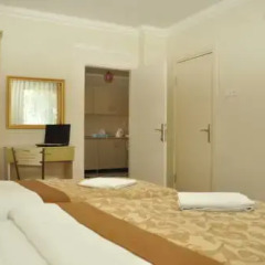 Ottoman Palace Hotel Edirne 3* Стандартный номер с различными типами кроватей фото 2