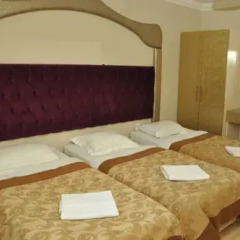 Ottoman Palace Hotel Edirne 3* Стандартный номер с различными типами кроватей фото 14