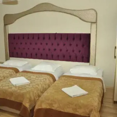 Ottoman Palace Hotel Edirne 3* Стандартный номер с различными типами кроватей