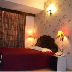 Hotel Maharani Plaza 3* Номер Делюкс с различными типами кроватей
