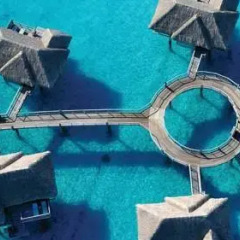 Отель Four Seasons Resort Bora Bora 5* Бунгало с различными типами кроватей фото 18